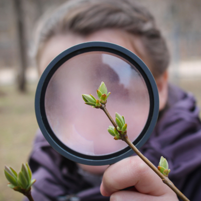 EXPLORER MINDSET – CULTIVATING CURIOSITY, ONE QUESTION AT A TIME